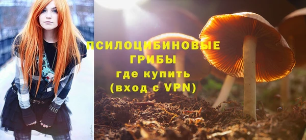 MESCALINE Горняк